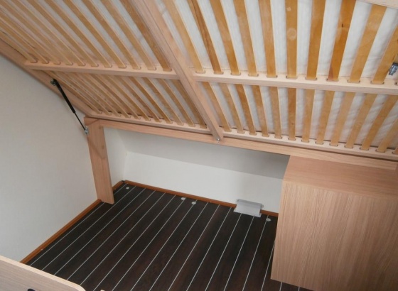 5f53c1dc-e168-cab3-4fb2-56b961ac23ec_p2010187_1024_1024